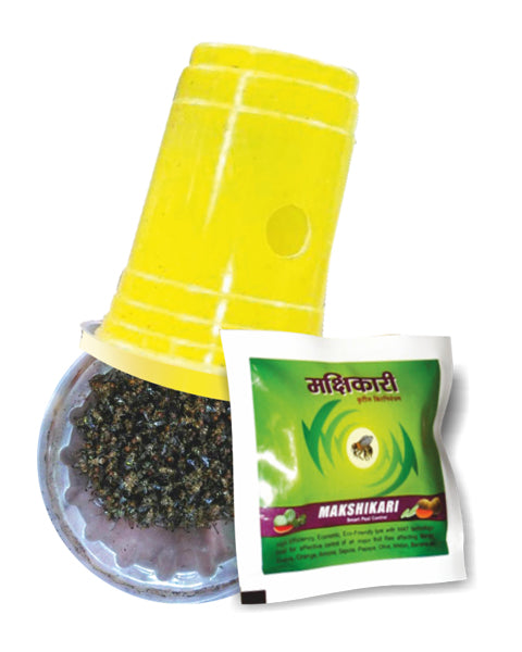 MAKSHIKARI (LURE+YELLOW GLASS) 2
