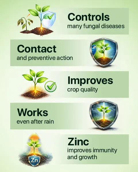 Antracol Fungicide by Bayer (Propineb 70% WP) 3