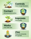 Antracol Fungicide by Bayer (Propineb 70% WP) 3