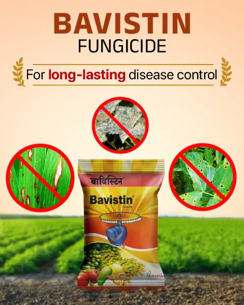 BAVISTIN (Carbendazim 50% WP) 2