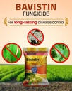 BAVISTIN (Carbendazim 50% WP) 2