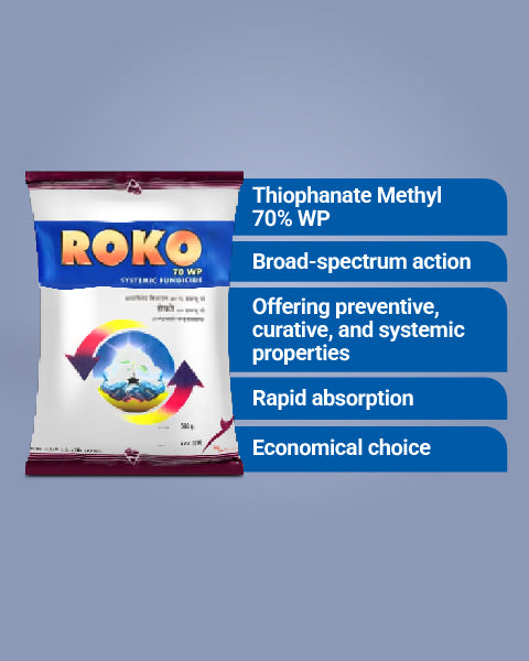 ROKO(Thiophanate Methyl 70% WP) 2