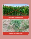 Sumitomo Glycel Herbicide 4