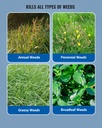 Crystal Topper 77 Herbicide (Glyphosate 71% SG) 3