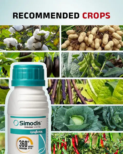 Simodis Insecticide by Syngenta (Isocycloseram 9.2% w/w DC + Isocycloseram 10% w/v DC) 4