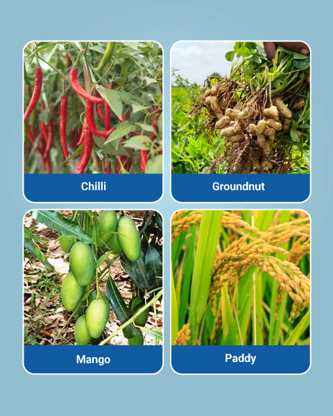 UPL Saaf Fungicide (Carbendazim 12% + Mancozeb 63% WP) Systemic & Contact Protection 4