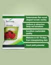 Seminis Abhilash Tomato Seeds 2