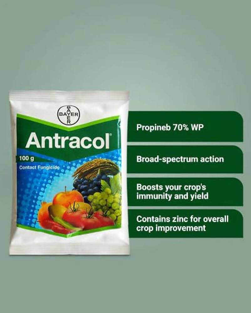 BASF Antracol 70% WP Fungicide 1kg