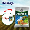 BASF Antracol 70% WP Fungicide 1kg