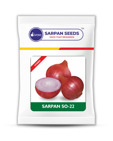 SARPAN SO (Onion)