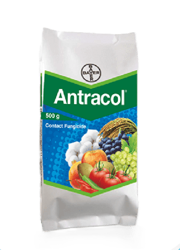 [FUN-ANT-1KG] BASF Antracol 70% WP Fungicide 1kg